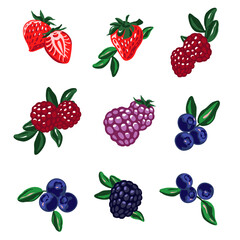 Berries set on the white background. Strawberries, blueberries, raspberries, green leaves.