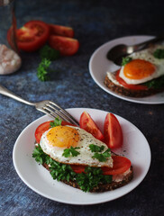 Sandwiches with fried eggs and tomatoes	