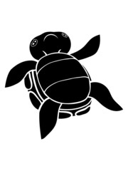 Weinende Umgekippte Schildkröte 