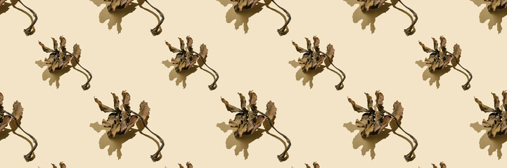 Dried leaves on a beige background. Autumn background.