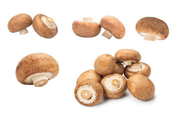 Tasty mushroom isolated on white background.