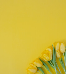fresh easter yellow jungle gardening tulips flat lay on the desk against yellow illuminating background with copyspace. spring minimalism