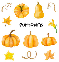 Orange Pumpkins vines and leaves watercolor collection