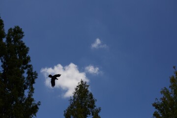 clouds and sky