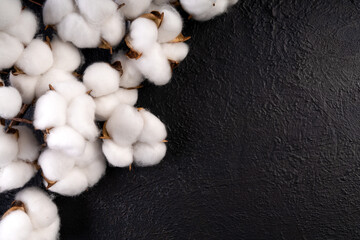 Cotton flowers on black background
