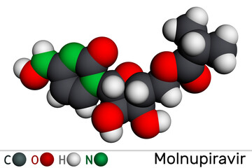 Molnupiravir molecule. It is antiviral medication, anti coronaviral agent, prodrug, used to treat coronavirus  COVID-19, SARS-CoV-2. Molecular model. 3D rendering