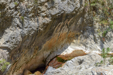 A stream flows between stones in a mountain gorge on a summer day.