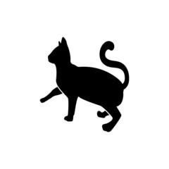 cat logo icon design template vector