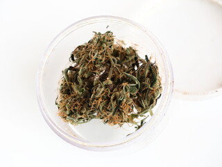 cannabis cbd oil bottle and medical marijuana hemp