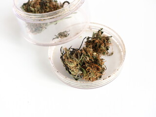 cannabis cbd oil bottle and medical marijuana hemp