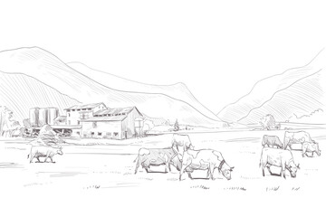 Rural landscape. Farm sketch. Vector illustration. Hand drawn image.