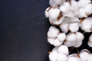 Cotton flowers on black background