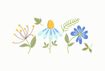 Set of flowers in doodle style. Meadow plants. Vector illustration with isolated background.