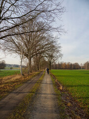 Oberlausitzer Heide- und Teichlandschaft- ein Paradies für Fahrradfahrer