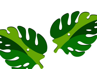 Monstera leaves in modern paper cut style. Multi-colored parts. Can be used for advertising and promotion. Vector