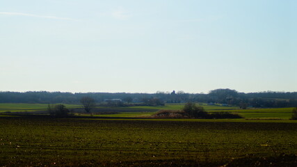 landscape with a field