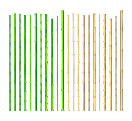 Realistic green and brown bamboo sticks set. Vector Illustration.
