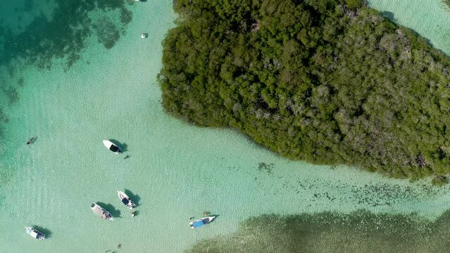 Aerial view of mangroves at Los Juanes in Morrocoy National Park, Venezuela.