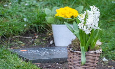 Close and selective focus on pretty flowers on a gravestone in a small cemetery