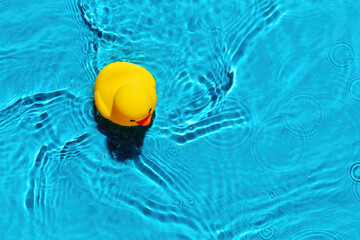 Yellow rubber duck toy floating on a swimming pool