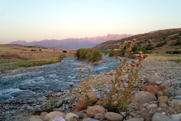Obraz premium river in the mountains