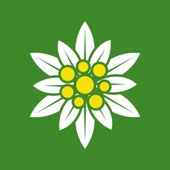 Edelweiss icon. Isolated edelweiss sign. vector illustration