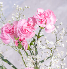 Pink carnations and gypsophila flowers on light grey backdrop close up. Mother or Valentine day.