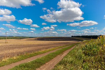 Fototapeta na wymiar a harvested and plowed field under a cloudy sky