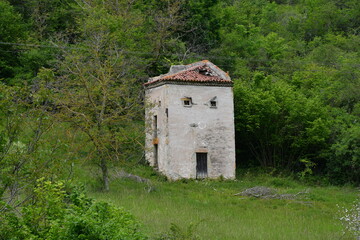 Ancien pigeonnier abandonn&eacute;e au milieu d'un champ dans la campagne du puy de d&ocirc;me pr&ecirc;t de Sauvagnat