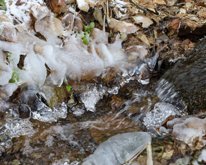 Fototapeta premium waterfall in the forest