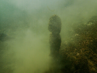 Underwater sculpture in the lake of biel - obrazy, fototapety, plakaty