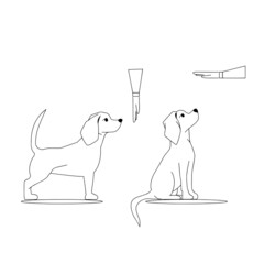 Dogs silhouette . The dog is sitting. Beagle silhouette. Set. Vector flat illustration, icon instruction how to train a dog. Sit command. Cynologists.