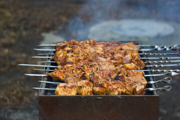 meat on the grill