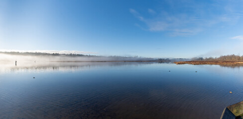 Panorama of Burnaby Lake Regional Park on a Foggy day in the forest of trees in the winter.