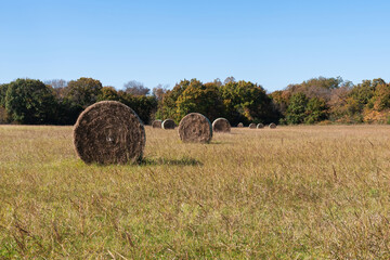 Round hay bales looking like giant wheels in a meadow © Stretch Clendennen