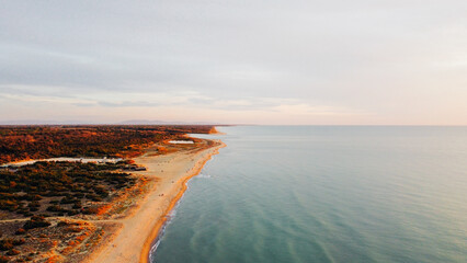 Aerial view of coastline and fall vegetation in Tuscany; Italy. Bird's eye view of sandy shore and Ligurian sea at sunset. Drone photography.