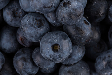 blueberries with water drops close up