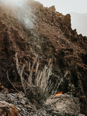 Hiking sceneries in the national park of Tenerife, Spain. Teide National Park is the biggest park on the Canary Islands. 