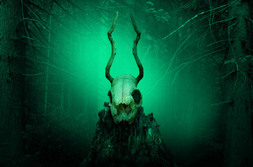 Horned skull in misty forest. Dark fantasy woods with mysterious light. Wiccan pagan worship