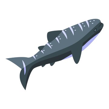 recommend clip art: Ocean whale shark icon isometric vector. Aquarium fish. Anima marine