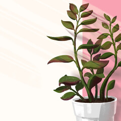 Zamioculcas flower illustration on soft background