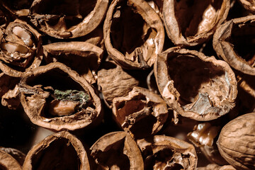 A lot of empty walnut shell. Textured background. Alternative fuel. Close-up. Copy space. Waste food. Brown color. Wallpaper. Banner. Beautiful still life on dark backdrop. Top view. Big heap. Mold