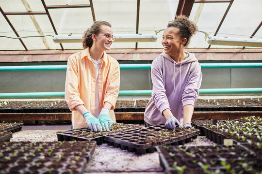 Two young happy female colleagues in work wear replanting seedlings in large greenhouse and looking at one another during talk