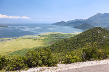 The Montenegrin section of the lake Skadar. Area of national park, Montenegro