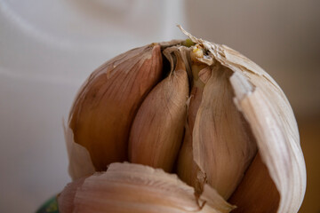 garlic detail
