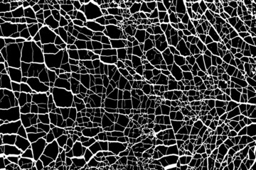 Fototapeta premium The cracks texture white and black. Vector background. Cracked earth. Structure of cracking. 