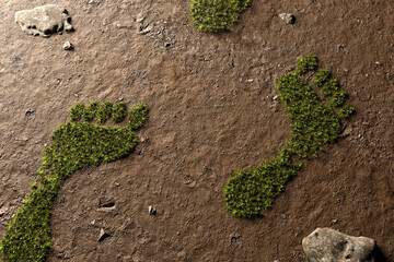 Plants grow in footprints / Carbon dioxide compensation - 486949975