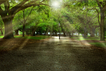 Waterfront Park next to the harbor in Charleston South Carolina