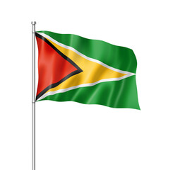 Guyanese flag isolated on white