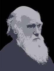 Charles Darwin vector portrait in 4 colors. English naturalist, geologist, and biologist, best known for his contributions to the science of evolution.